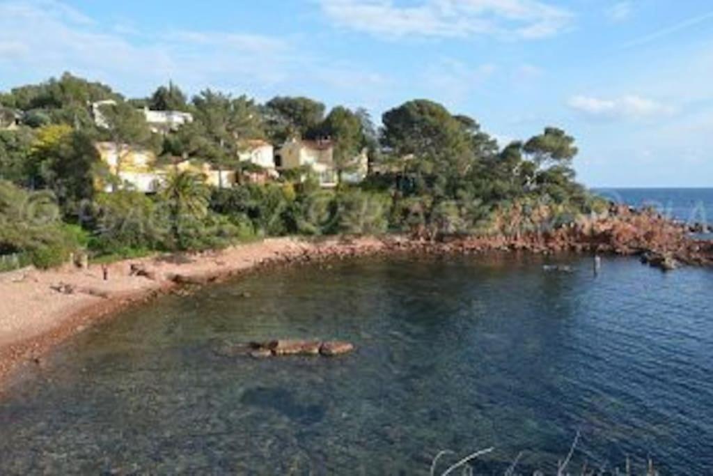Appartement L'Evasion, Vue Mer, Plages A Pied Fréjus Extérieur photo